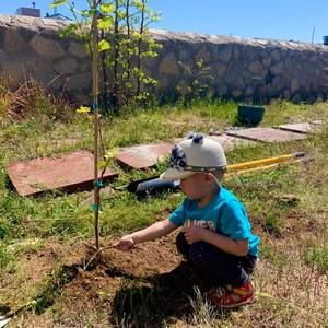 Meet your Posher, Liam